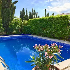 Apartman Mare, Punat